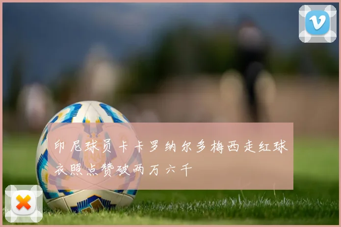 印尼球员卡卡罗纳尔多梅西走红球衣照点赞破两万六千