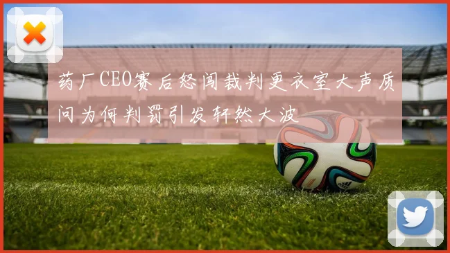 药厂CEO赛后怒闯裁判更衣室大声质问为何判罚引发轩然大波