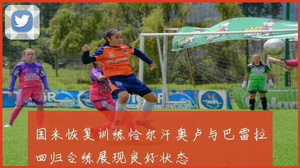 国米恢复训练恰尔汗奥卢与巴雷拉回归合练展现良好状态