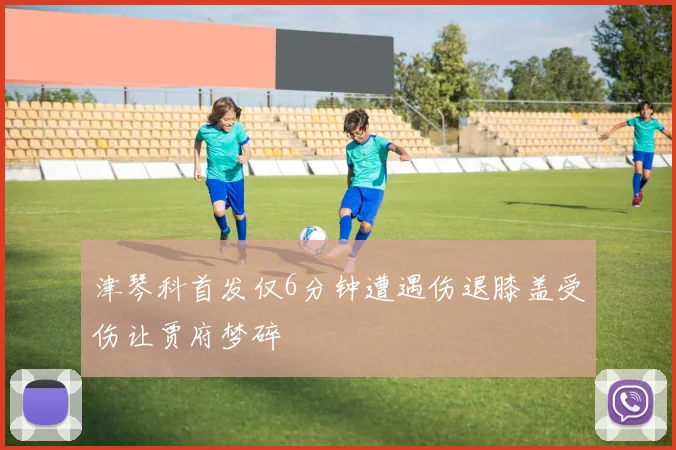 津琴科首发仅6分钟遭遇伤退膝盖受伤让贾府梦碎