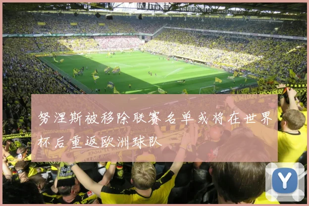 努涅斯被移除联赛名单或将在世界杯后重返欧洲球队
