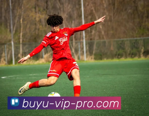 捕鱼平台生态图